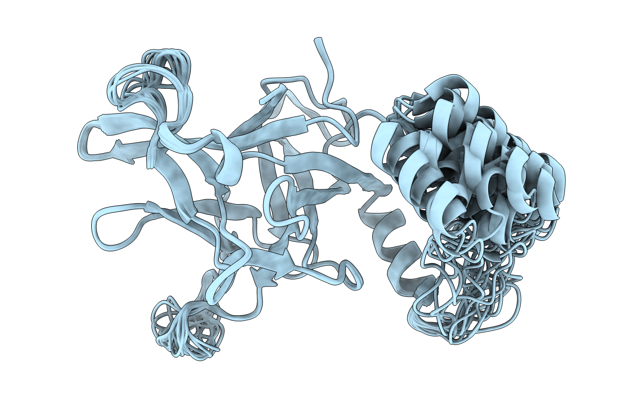 2MC2 image