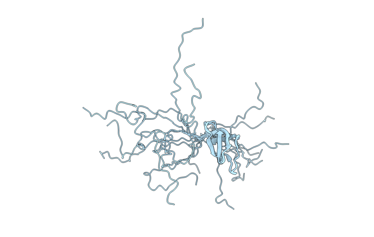 2MFI image