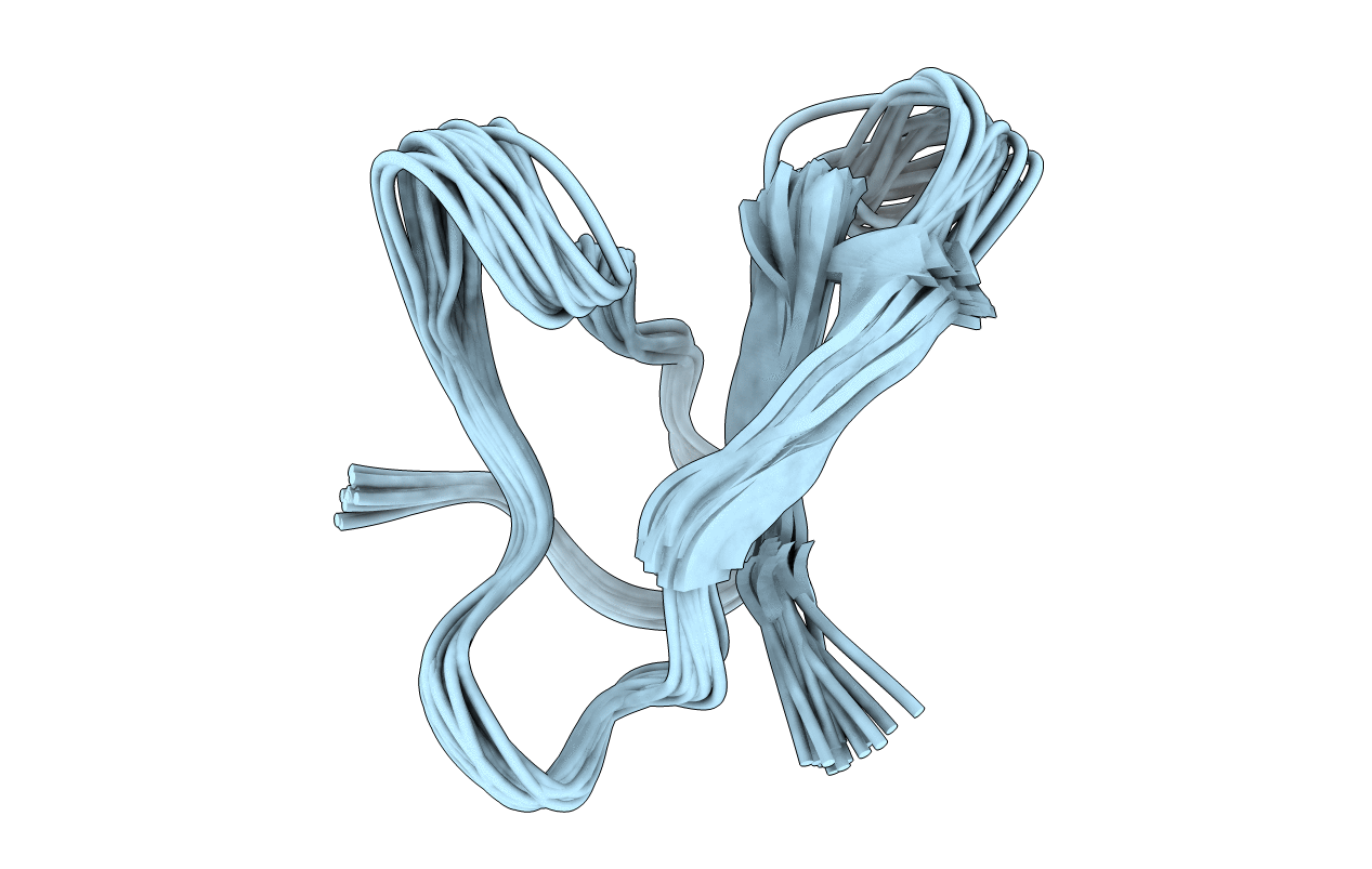 2MFS image