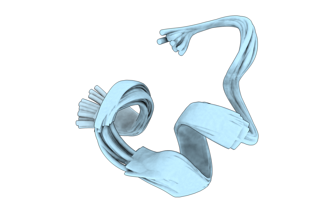 2MFX image