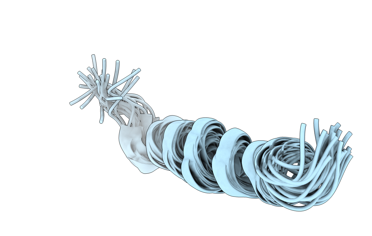2MG2 image