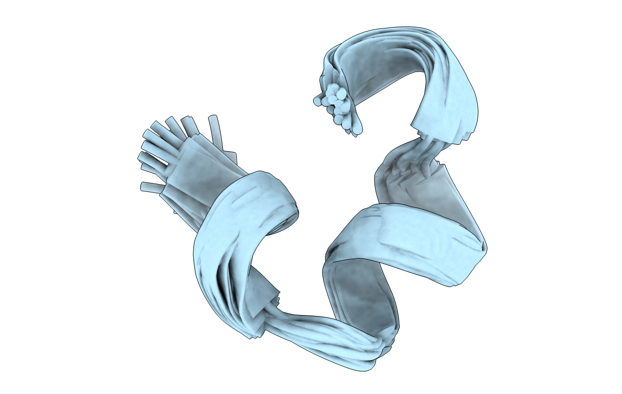 2MG6 image