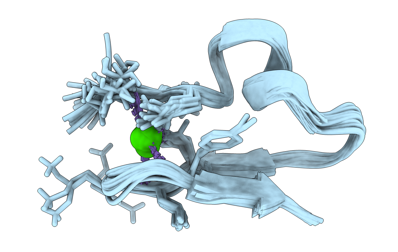 2MG9 image