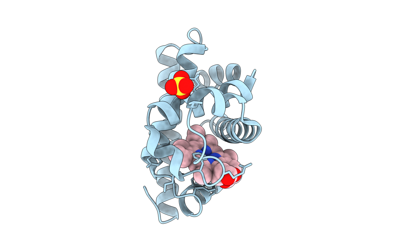 2MGD image