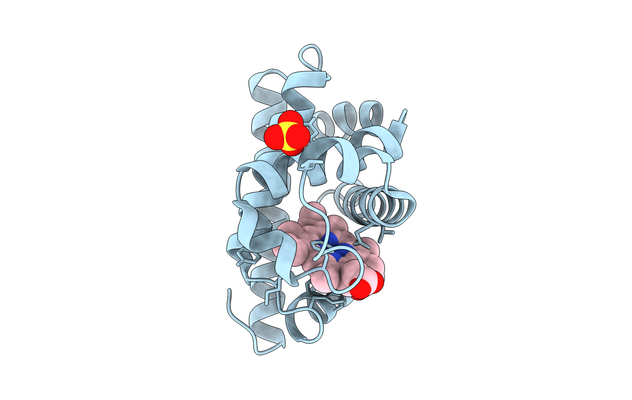 2MGH image