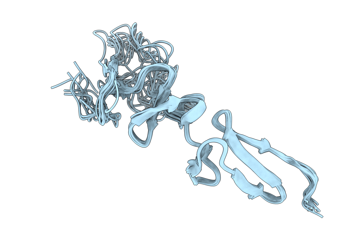 2MHP image