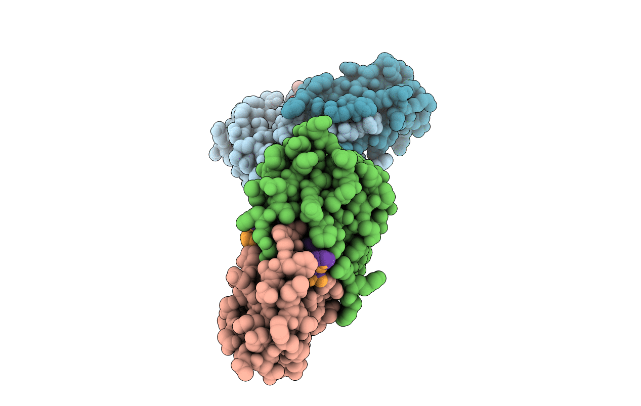 2MIP image