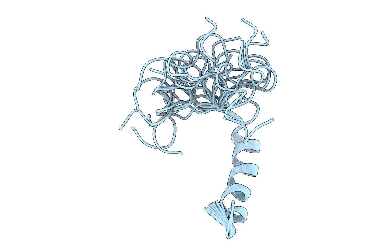 2MLV image