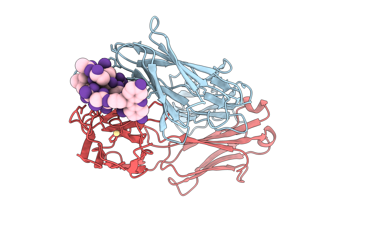 2MPA image