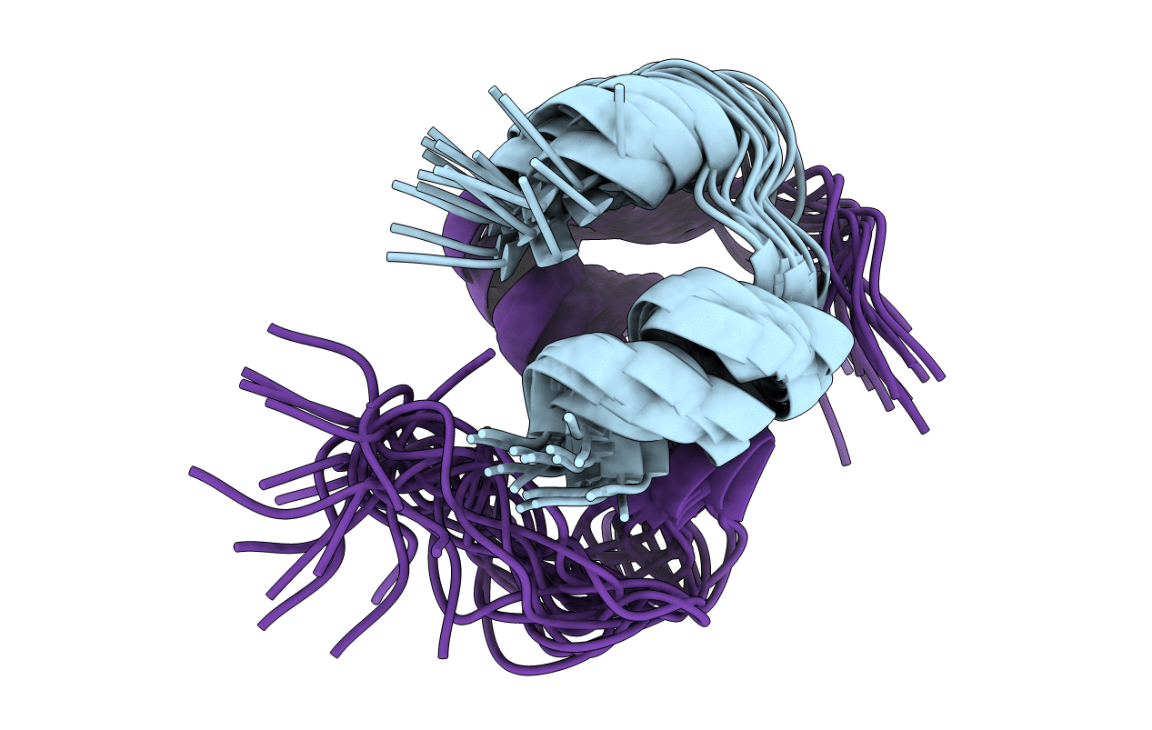 2MPI image