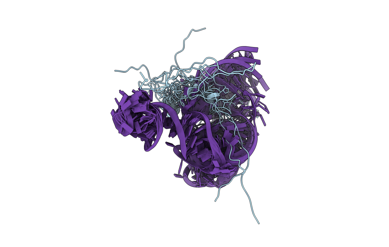 2MS1 image