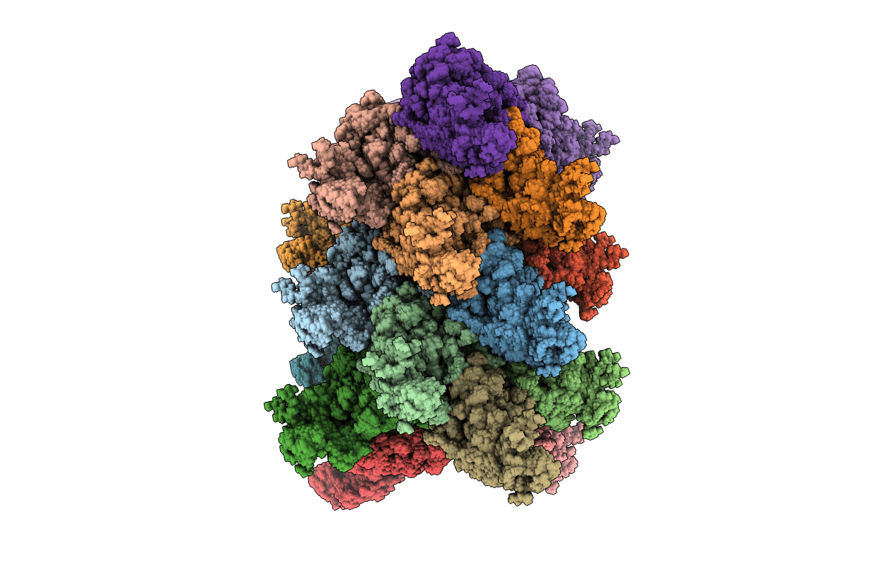 2MS7 image