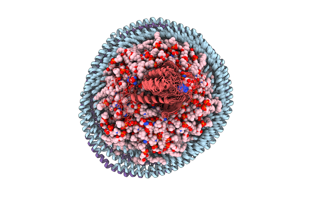 2MSD image