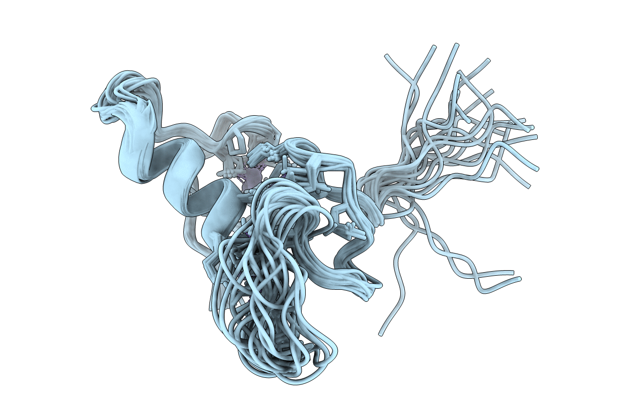 2MT5 image
