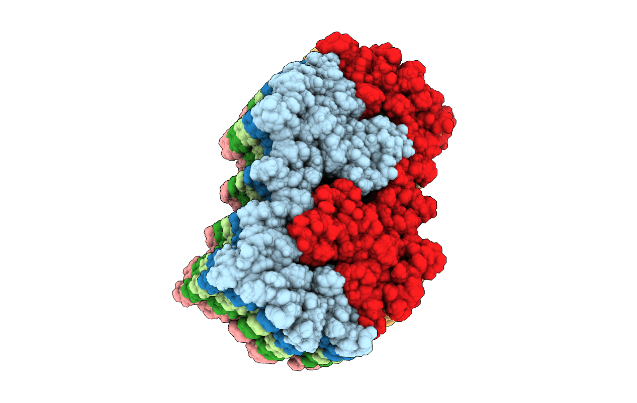 2MVX image