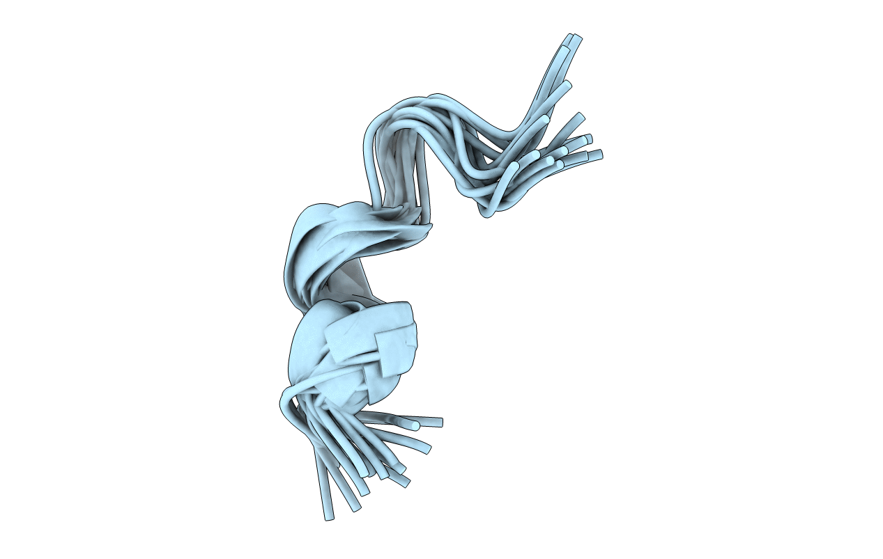 2N0I image