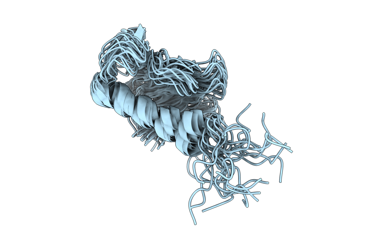 2N19 image