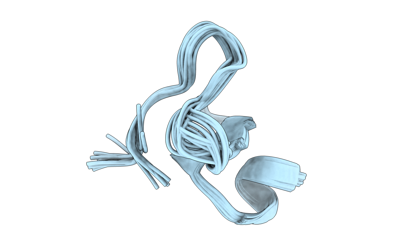 2N1S image