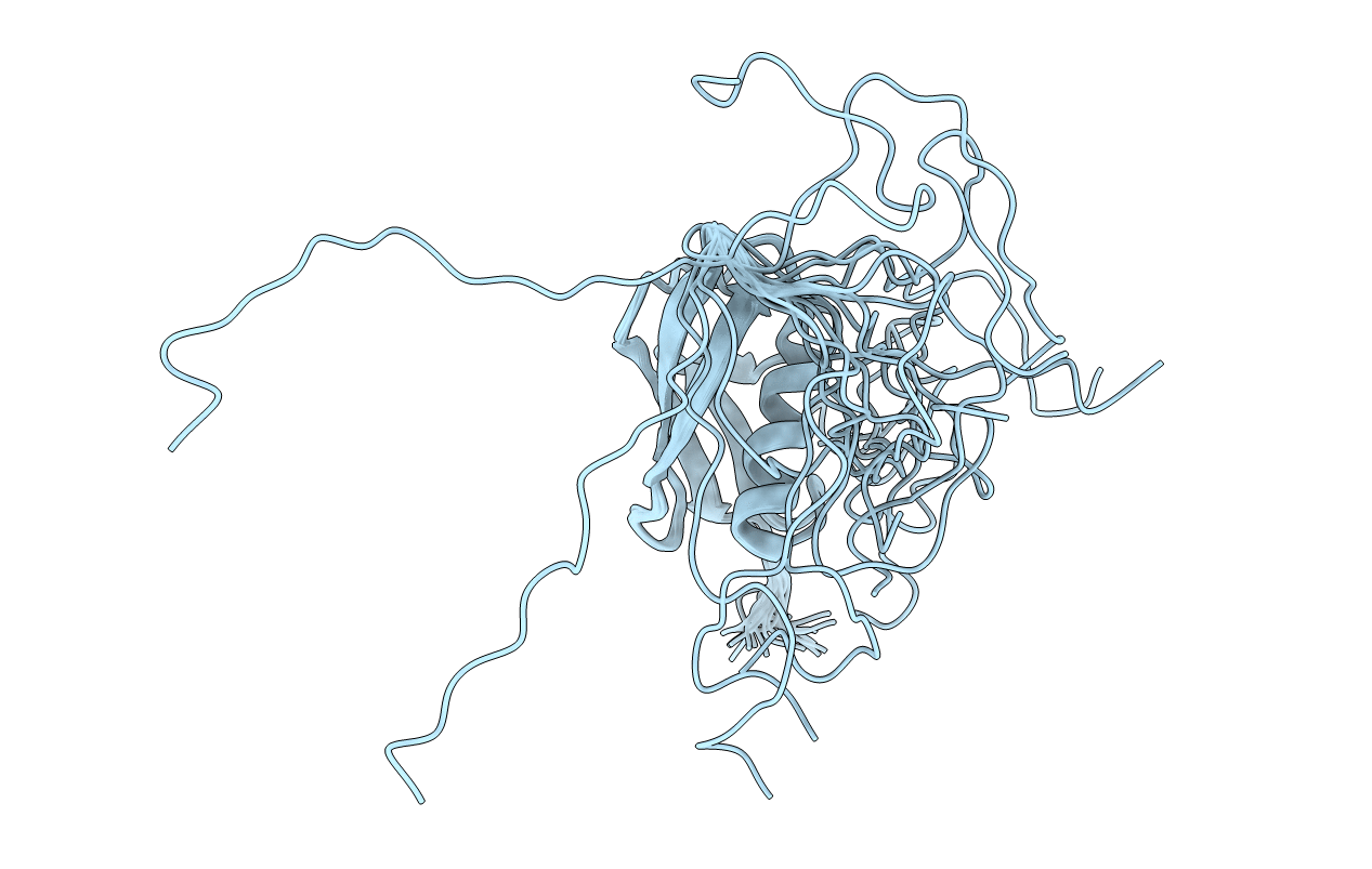 2N1V image