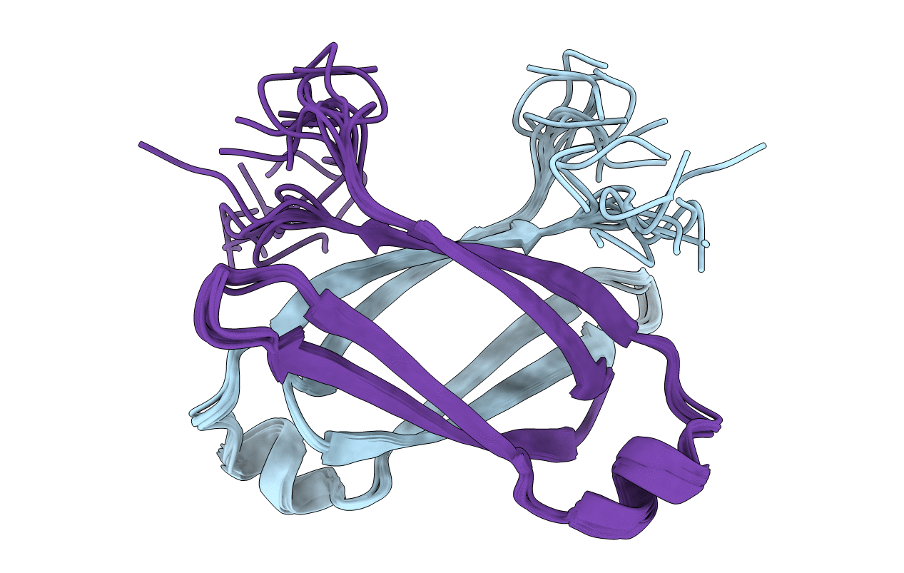 2N2J image