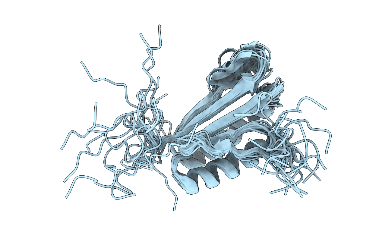 2N41 image