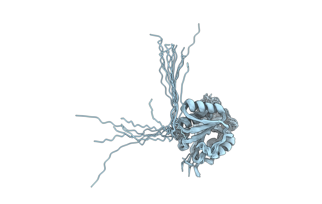 2N47 image