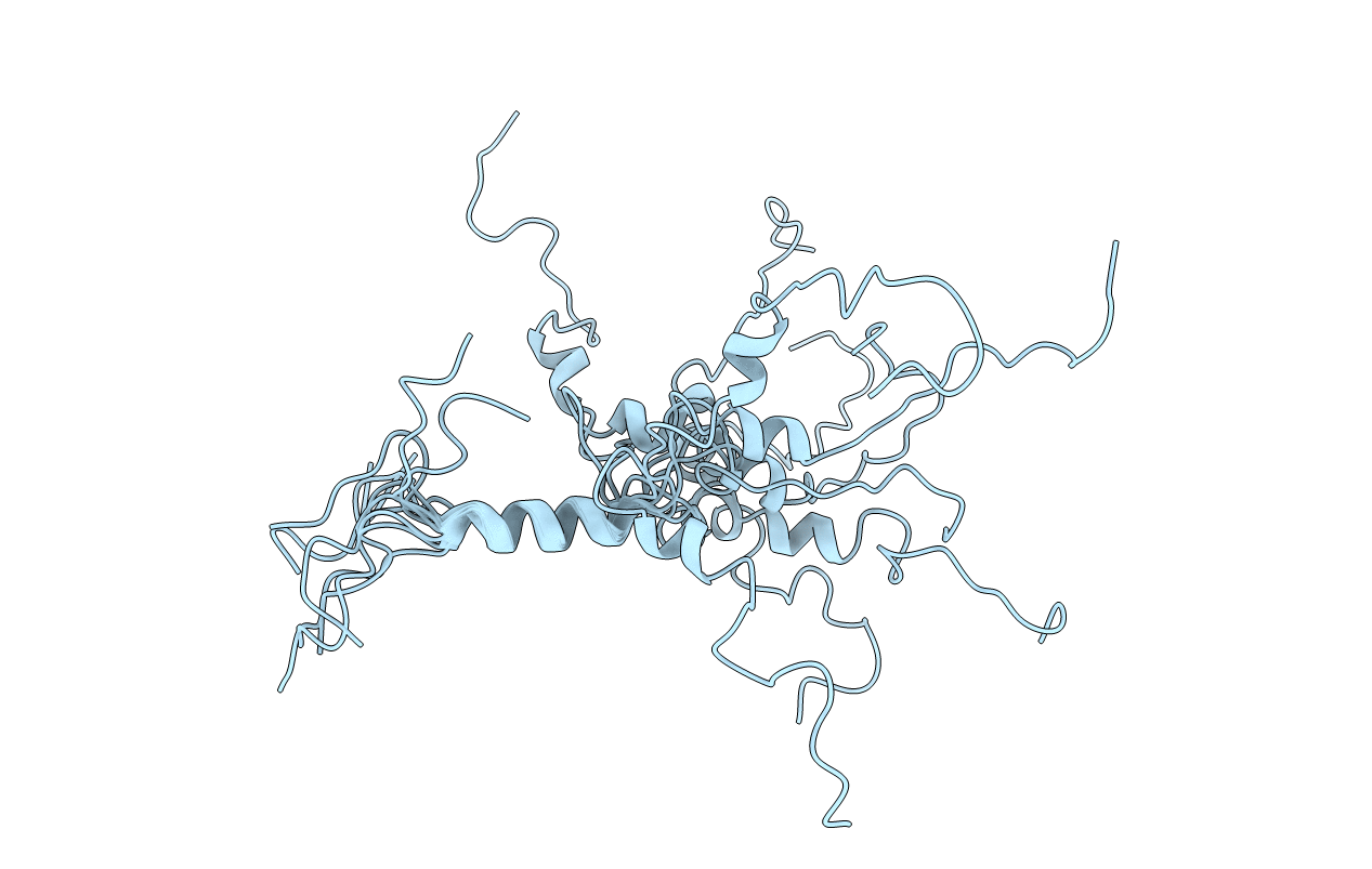 2N4G image