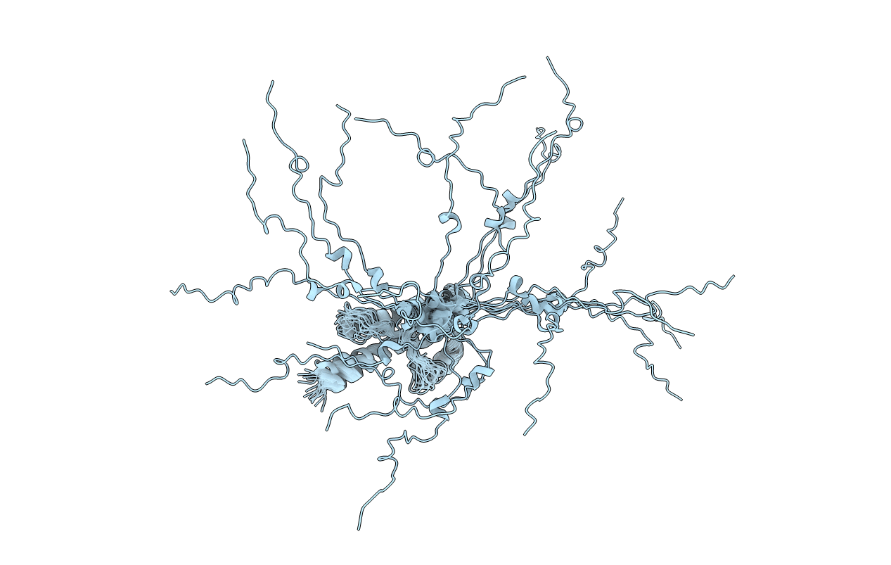 2N53 image