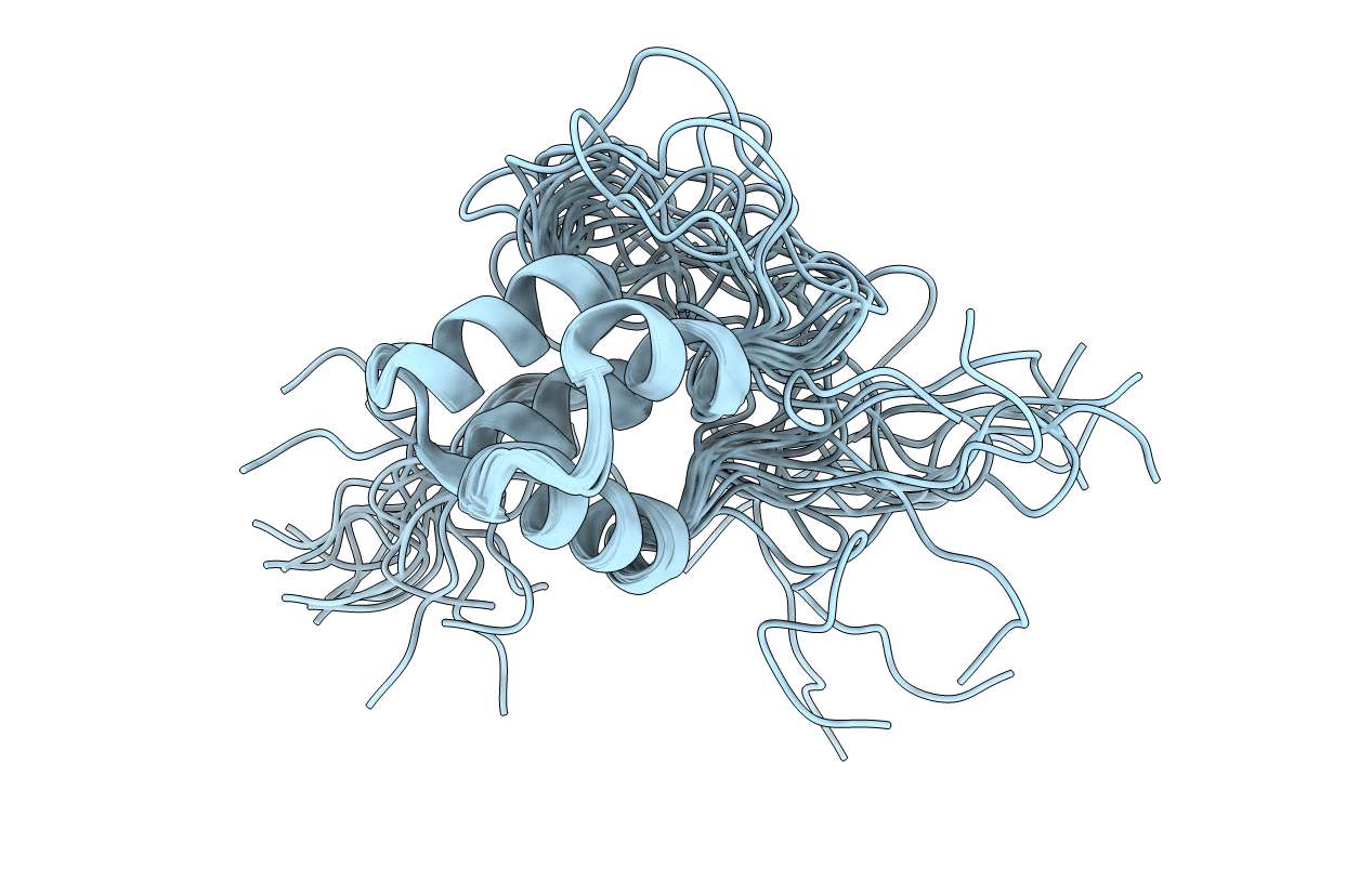 2N5D image