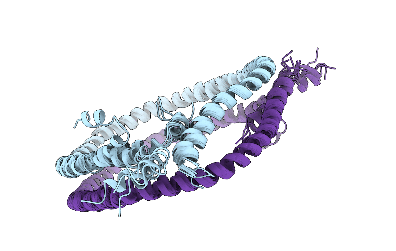 2N5E image
