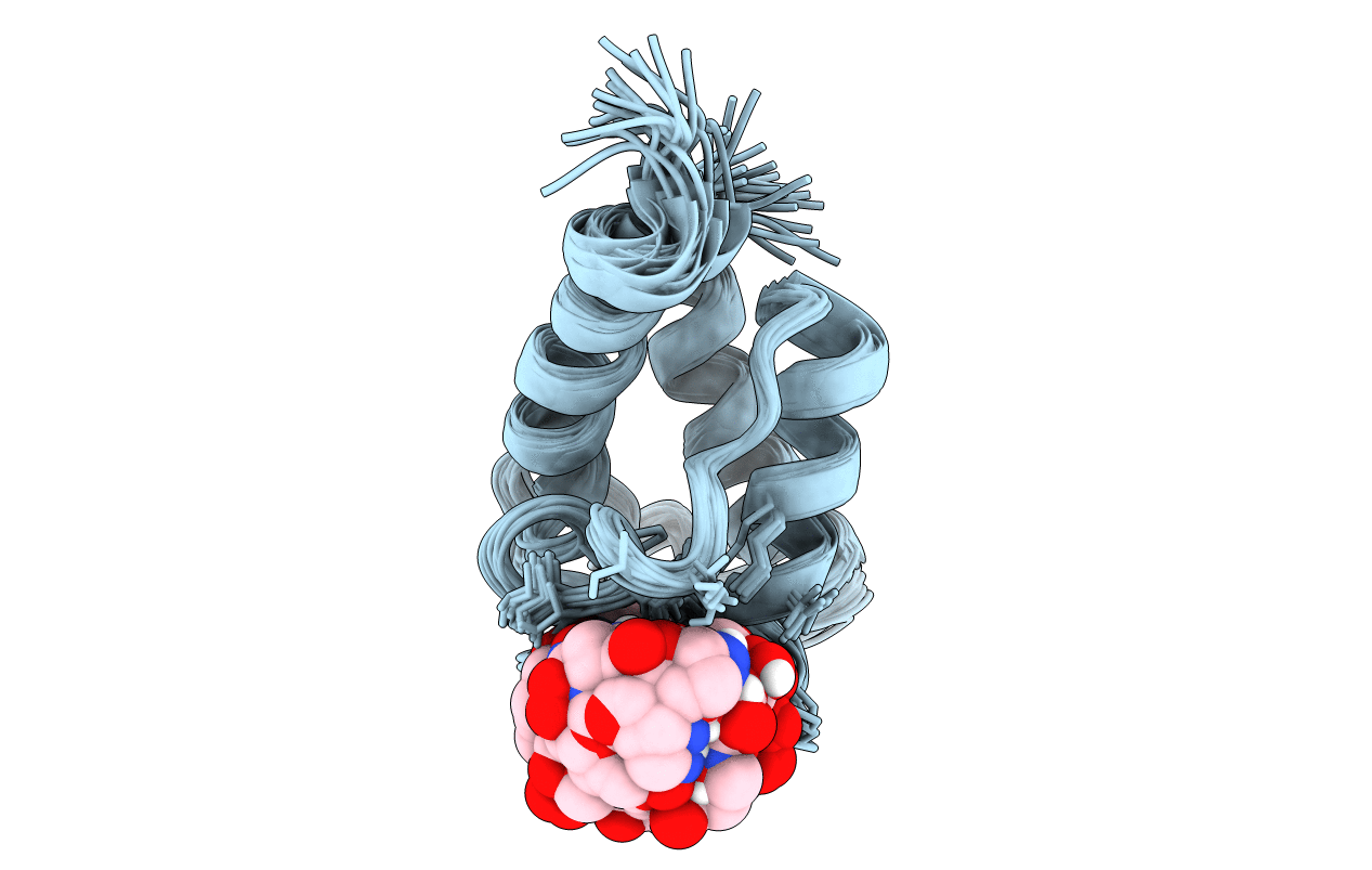 2N5I image