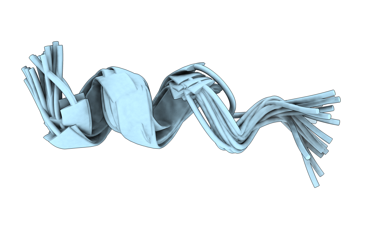 2N5R image