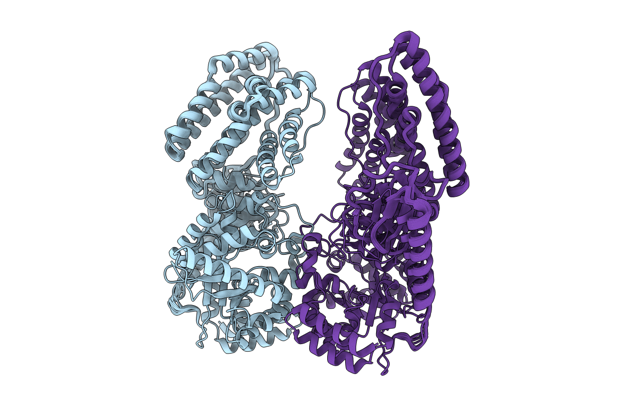 2N5T image
