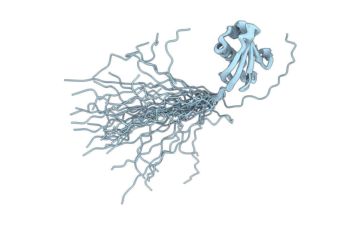 2N7D image