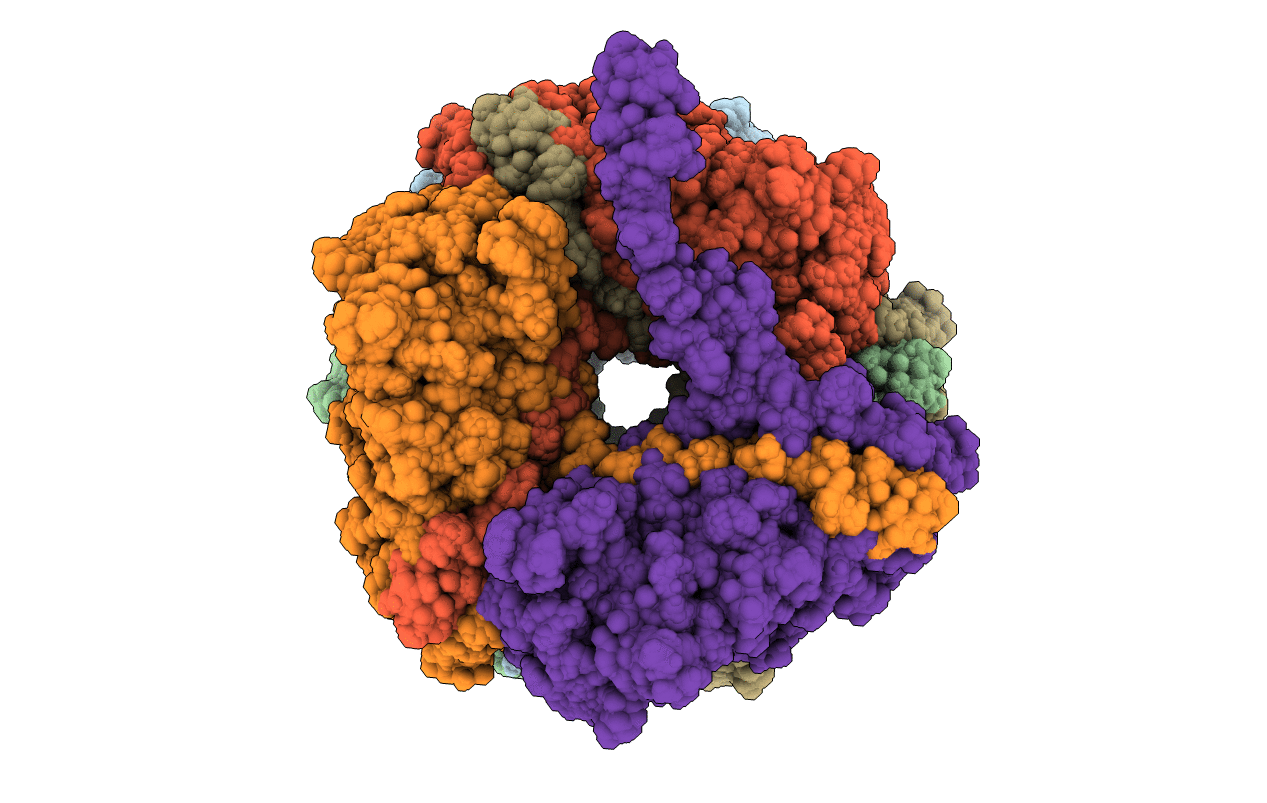 2N7H image