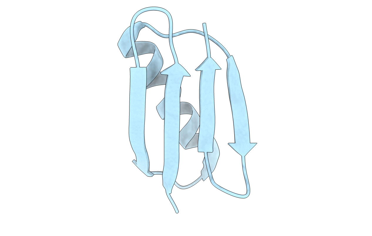 2N7J image