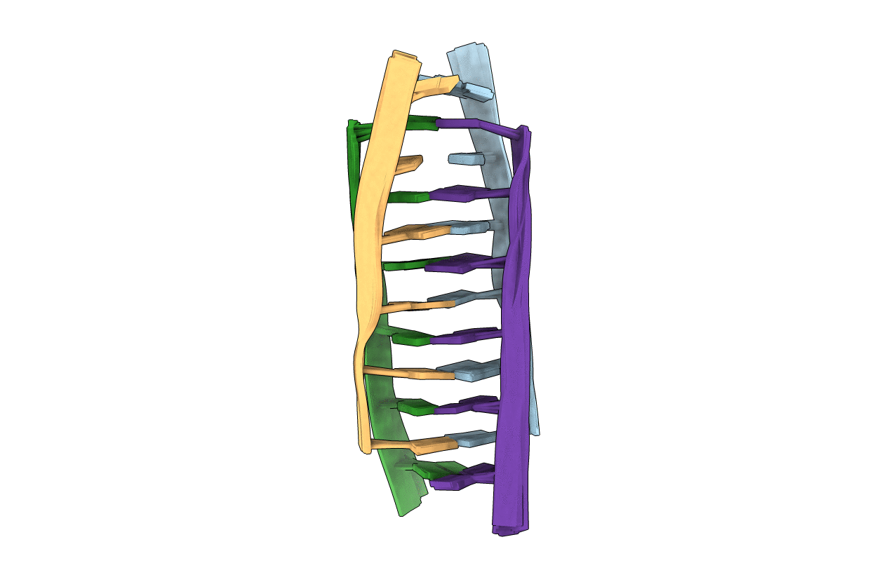 2N89 image