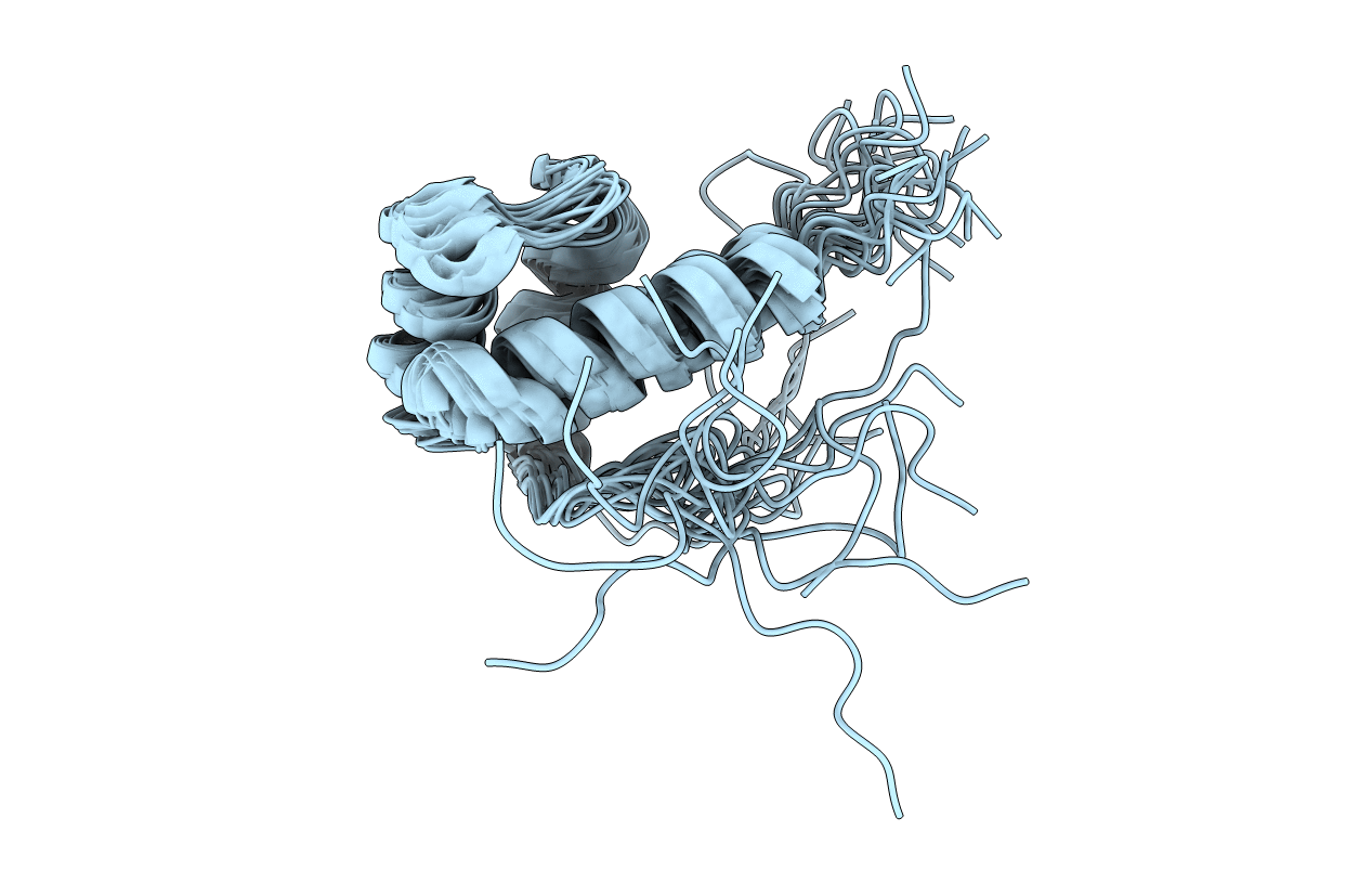 2N8G image