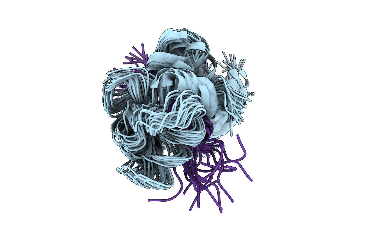 2N8J image