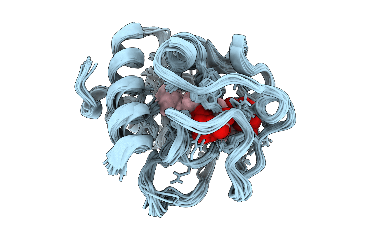 2N9J image