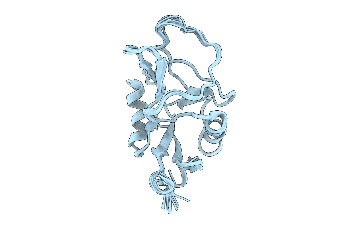 2NAN image