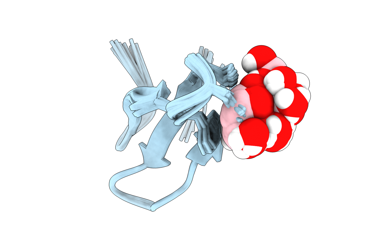 2NC6 image