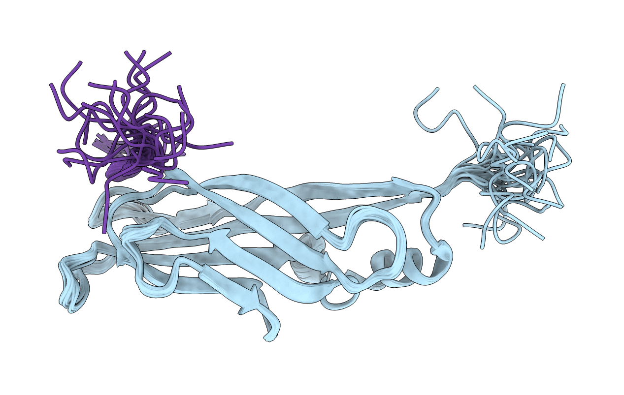 2NDF image