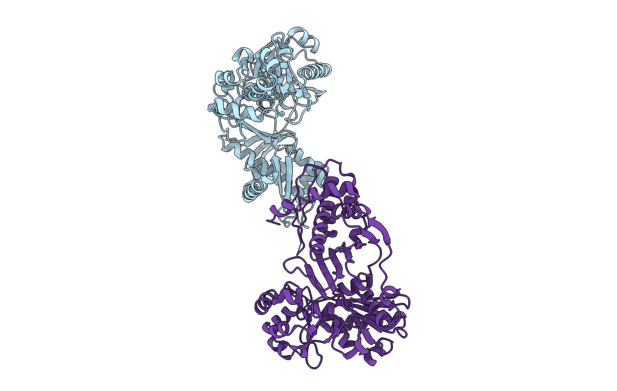 2NLX image