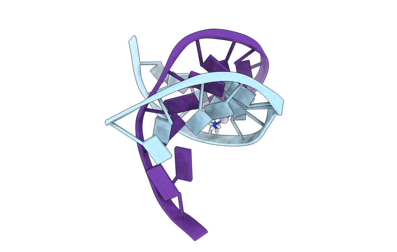2NPW image