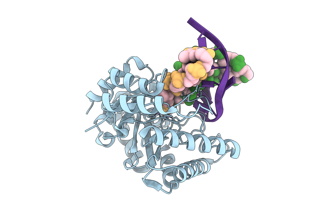 2NQ9 image