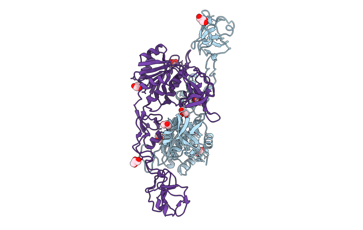 2NQS image