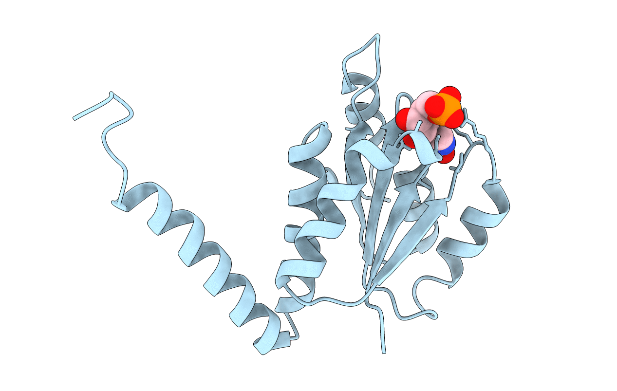 2NSJ image