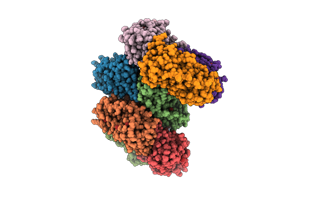2NTI image
