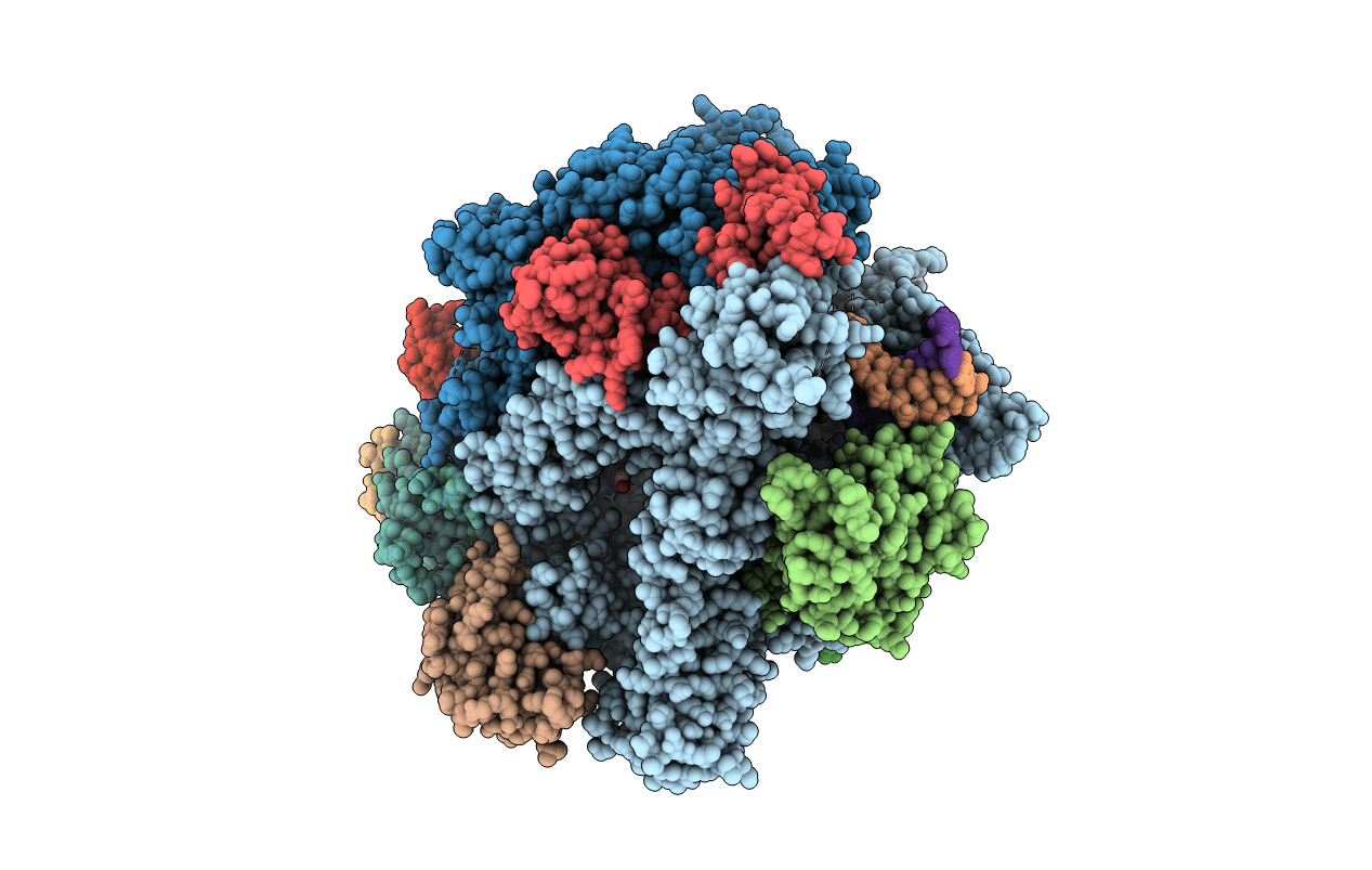 2NVX image